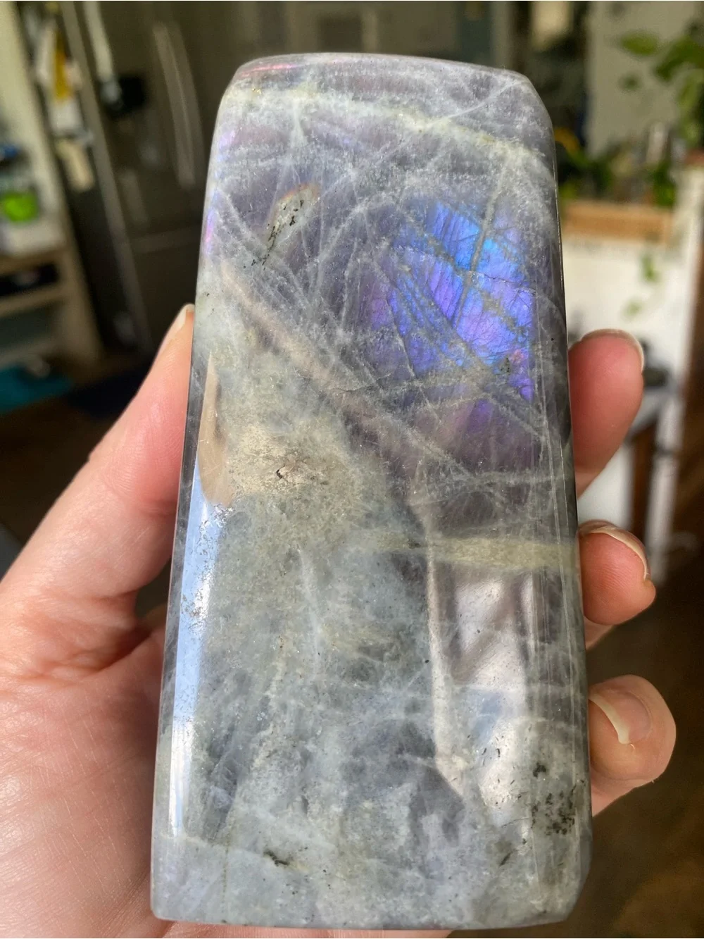 ✨ Double Flash Labradorite Freeform – 4.5 Inches ✨